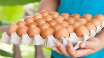 30 جنيه انخفاض.. سعر كرتونة البيض في مصر يوم 2 ديسمبر 2025